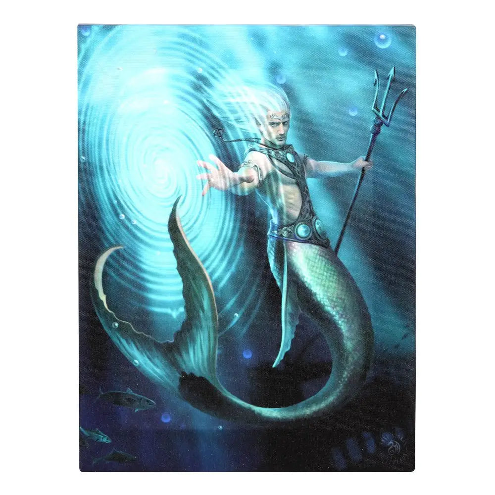 19X25CM WATER ELEMENT WIZARD CANVAS PLAQUE BY ANNE STOKES - canvas plaque