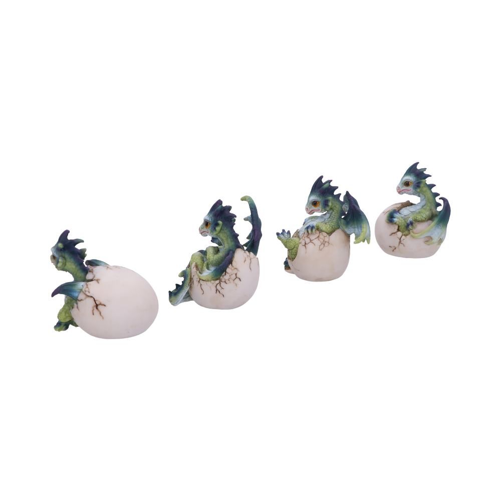 Hatchlings Emergence (Set of 4) 8cm Set of Four Hatchlings Emergence Dragonling Hatching from Egg Figurine