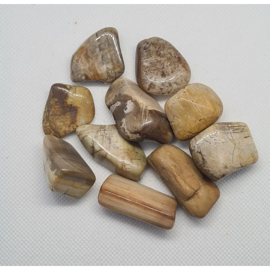 Large Tumble stones Red Jasper Tumble Petrified Wood Tumble Picasso Jasper Tumble,