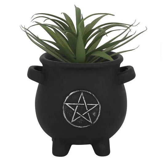 PENTAGRAM CAULDRON PLANT POT - plant pot