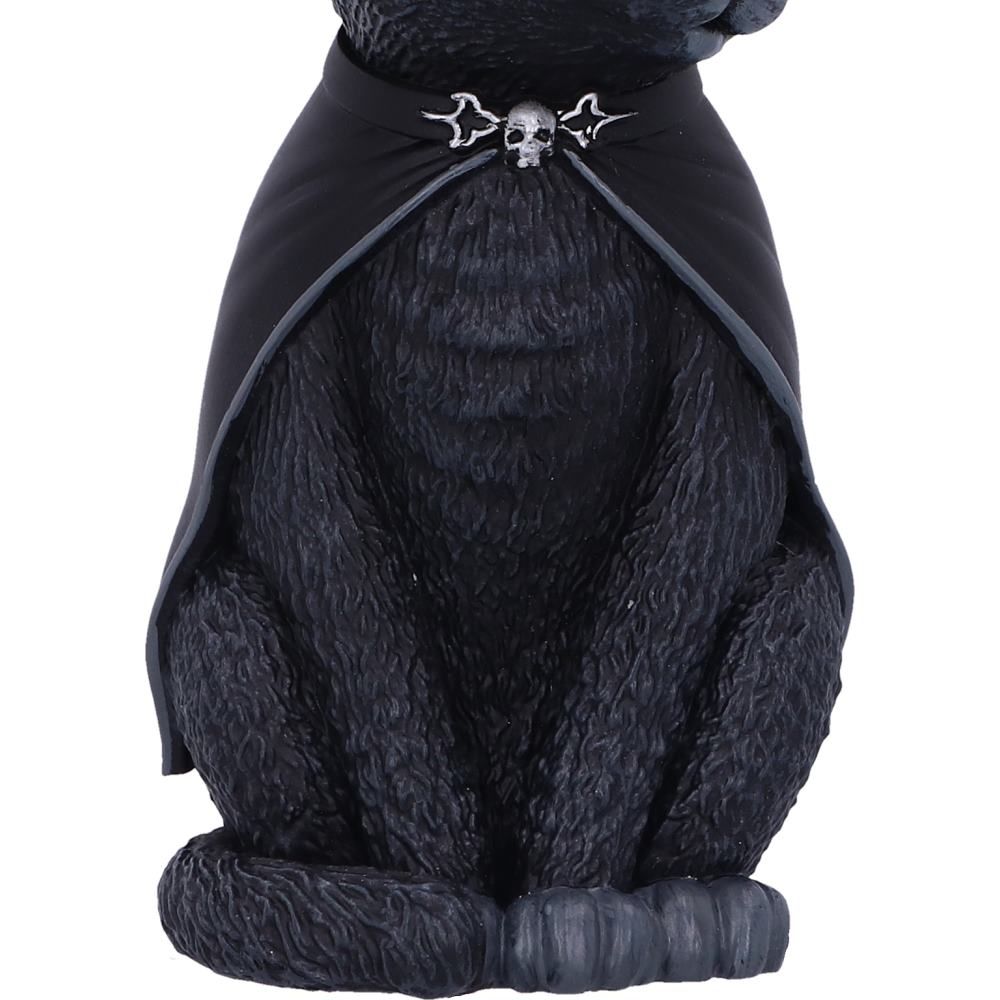 Purrah Hanging Ornament 11.5cm Purrah Black Witch Cat Hanging Decorative Ornament 11.5cm by Nemesis Now