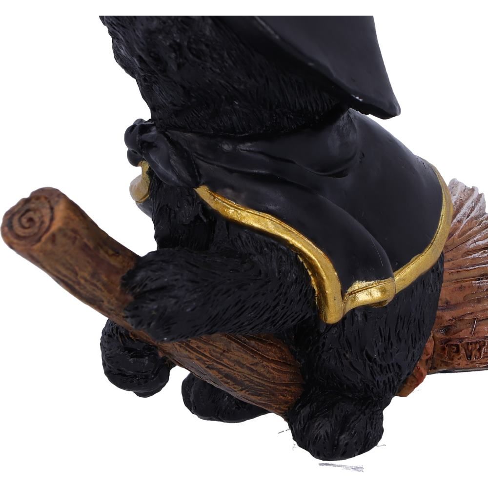 Tabitha 11cm Tabitha Small Witches Familiar Black Cat and Broomstick Figurine by NEMESIS NOW