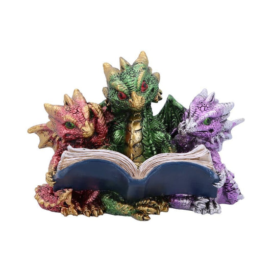 Tales of Fire 11.5cm Tales of Fire Reading Book Dragon Figurine