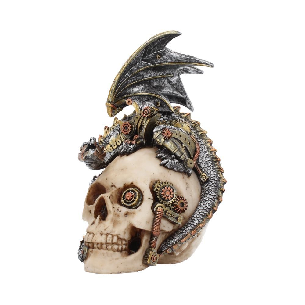 Steel Wing Skull 21cm Steel Wing Steampunk Dragon Skull 21cm