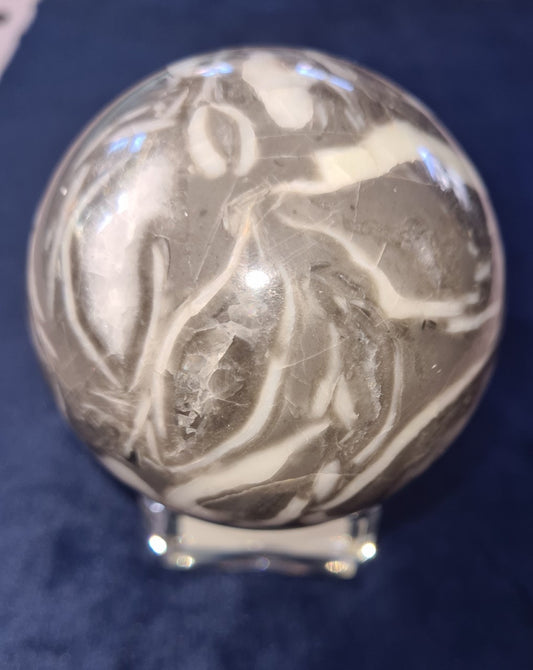 Beautiful shell stone sphere