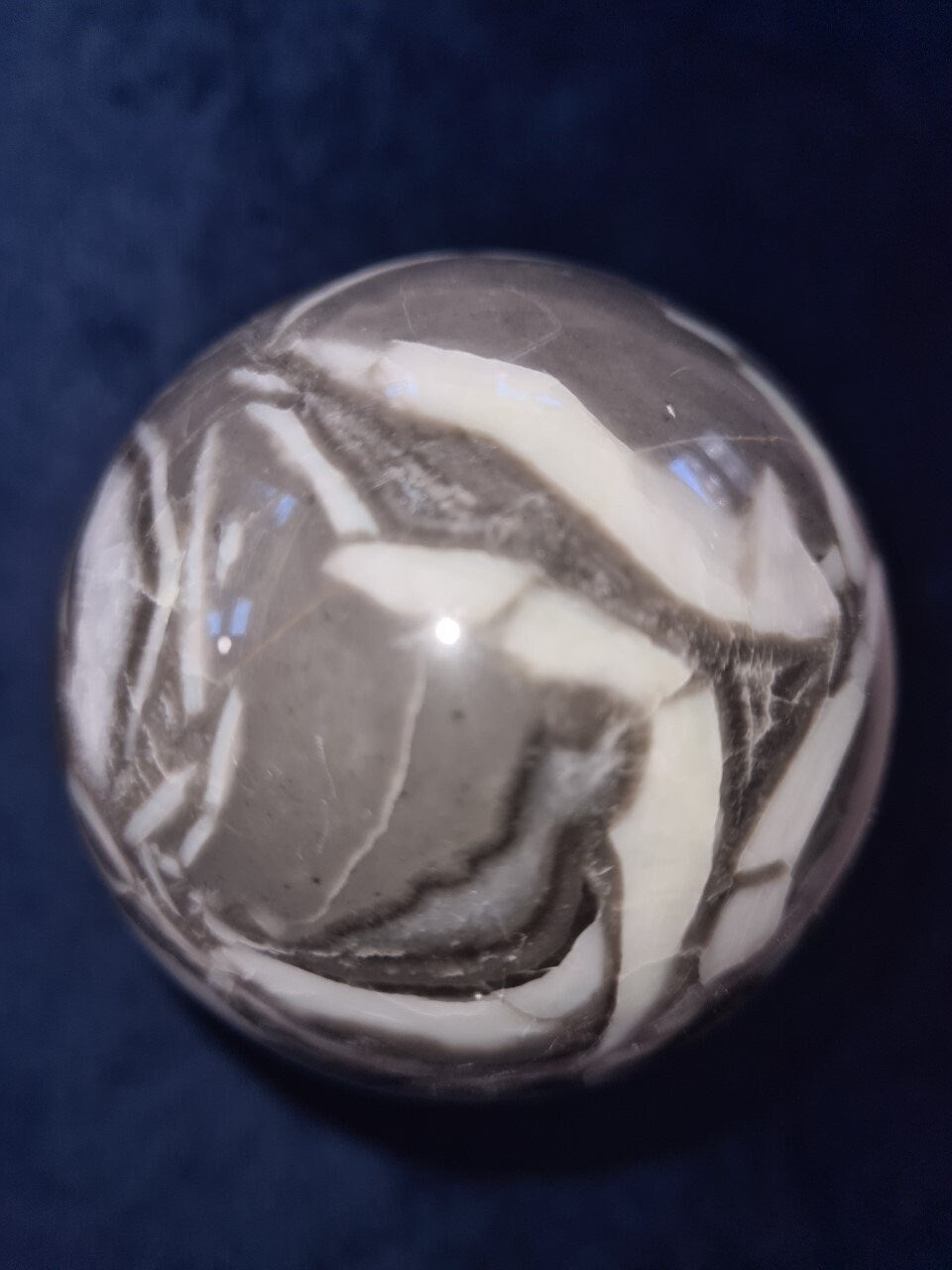 Beautiful shell stone sphere