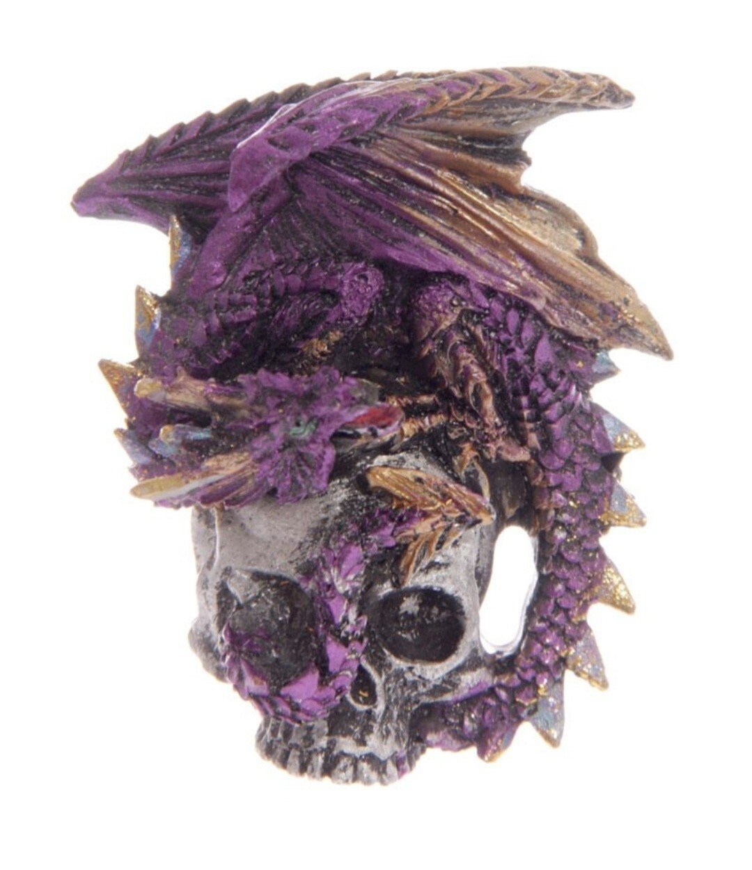 Dragon and Skull Magnets (set of 4)