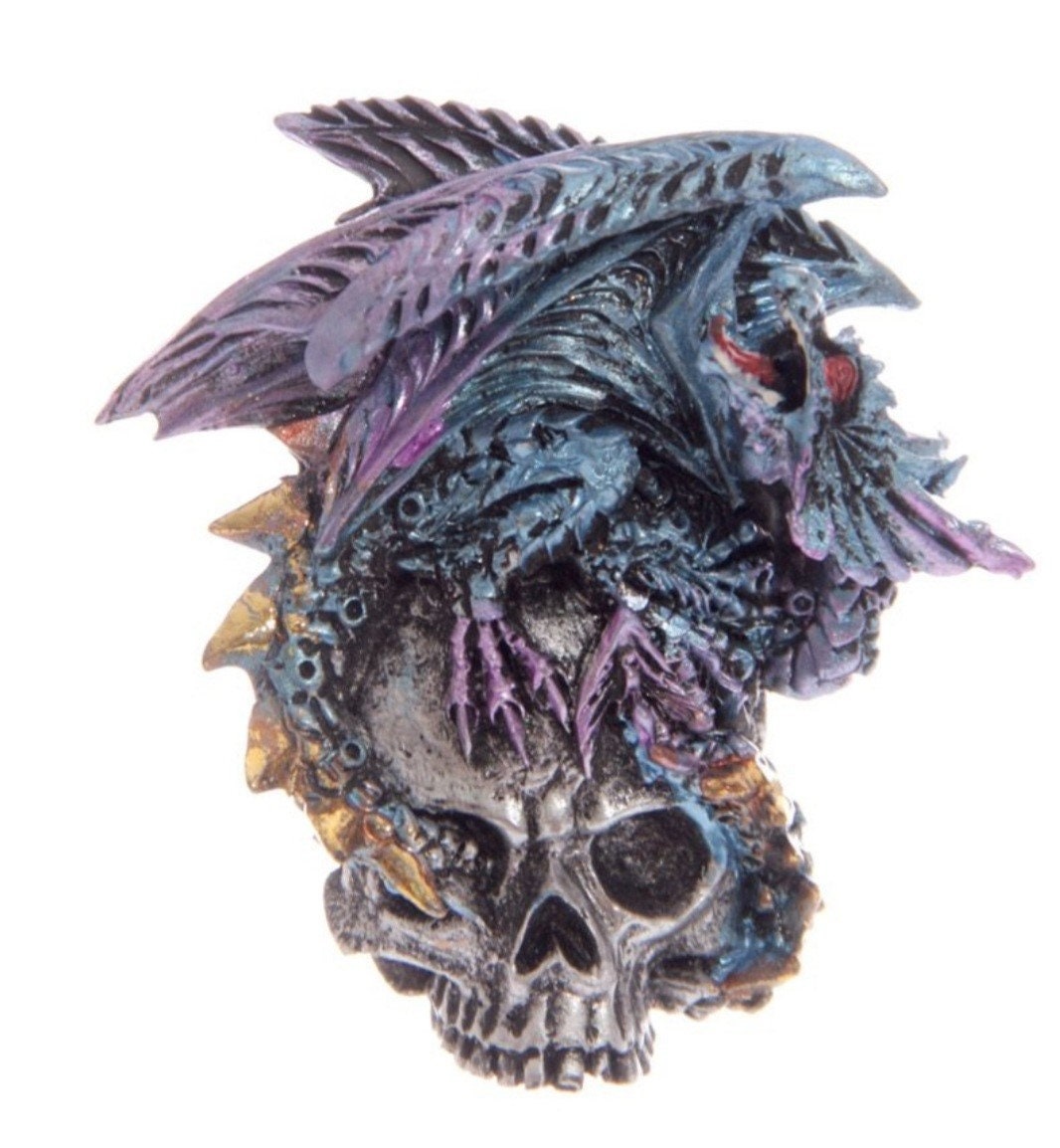 Dragon and Skull Magnets (set of 4)