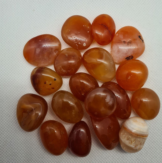 Medium Tumble stones, Clear quartz, Yellow Jasper, Carnelian, Dalmatian Jasper, Leopard Skin Jasper, Tiger eye, Blue Sandstone